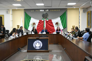 Diputados buscan tipificar el delito de transfeminicidio
