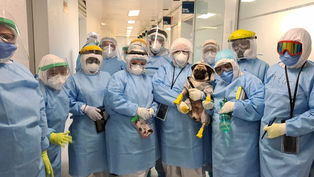 CONCLUYE EXITOSA LABOR DE HARLEY “EL TUERTO” EN 10 HOSPITALES DEL ISSSTE; AYUDÓ A REDUCIR ESTRÉS EN 