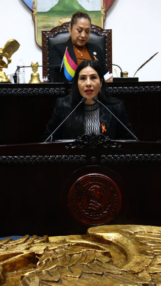 HILDA MIRANDA PROMUEVE QUE SE GARANTICE ACCESO A LA TECNOLOGÍA PARA ADUTLOS MAYORES