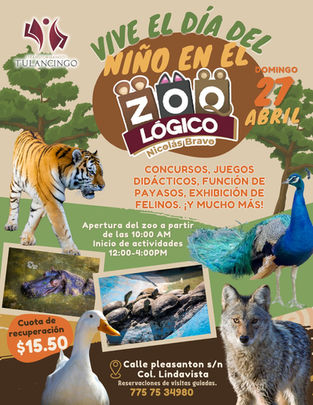 ¡Celebra el Día del Niño en el Zoológico Nicolás Bravo de Tulancingo! 🐯🐵🦁🪴🌿🦎¡Diversión para Todos!📅Fecha: Domingo 27 de abril💥 Actividades: 🤹🏻 - Concursos- Juegos didácticos 🤡 - F