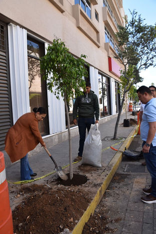 Reforestación en el Callejón San Vicente, en el Jardín La Floresta, en conmemoración del Día Nacional del Árbol