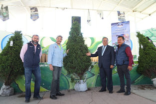 ENTREGA MINERAL DE LA REFORMA MÁS DE 360 ÁRBOLES DE NAVIDAD A BAJO COSTO