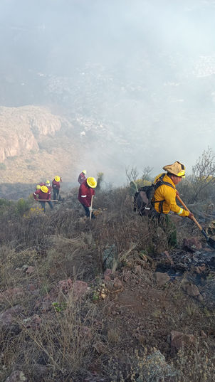 SEMARNATH encabeza el combate a incendio de interfaz urbano tipo 3 en la serranía de Pachuca
