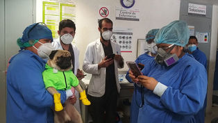 INICIA EL ISSSTE JORNADA DE APOYO PSICOLÓGICO A PERSONAL MÉDICO EN ÁREAS COVID-19 DE HOSPITALES DEL 