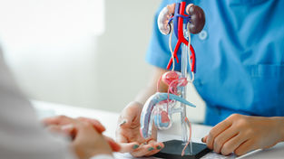 Prevención, clave contra el cáncer de próstata