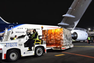 COMPRA EL ISSSTE 200 VENTILADORES 502S ADICIONALES PROCEDENTES DE CHINA PARA LA ATENCIÓN DE PACIENTE