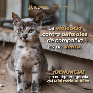 No permitas que la violencia hacia los animales siga ocurriendo en silencio. Tu participación es clave para construir una comunidad justa. ¡Denuncia ante el Ministerio Público! 🐾📞Para pedir orient