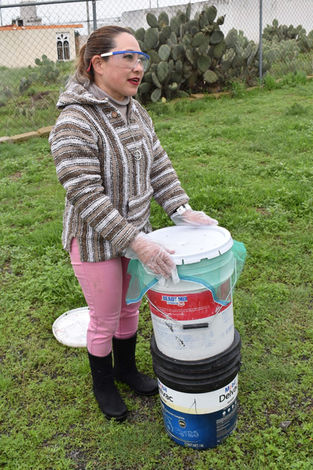 ITESA inicia proyecto lombricomposta a partir de heces caninas