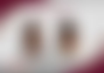 Aseguran en Pachuca a dos implicados en robo de autopartes