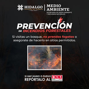 El bosque es vida, protegerlo es una tarea conjunta 🤲🏼🌲Si planeas disfrutar de un día en la naturaleza, no enciendas fogatas 🔥🚫 fuera de los sitios permitidos. Un pequeño descuido puede generar