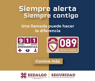 ADS_300X250 911,089 (3).png