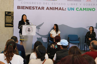 DEFENSORES DE LOS DERECHOS DE LOS ANIMALES Y DIPUTADA HILDA MIRANDA PRESENTAN ESCALA DE VIOLENCIA ANIMAL Y SOCIAL