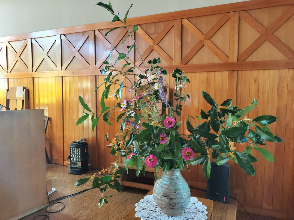 IMG20241013151537