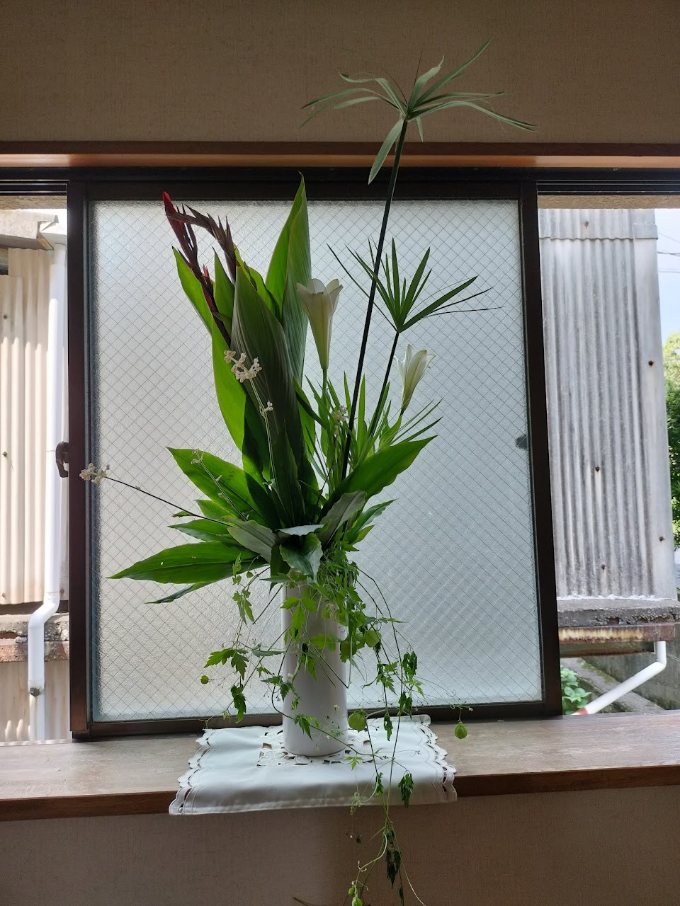 IMG20240804142856
