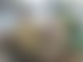 神から出たものなら(使徒5:17-42)　20260419