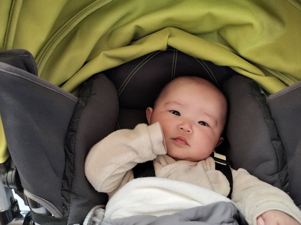 IMG20260320131218_Original