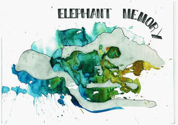 Elephant memory