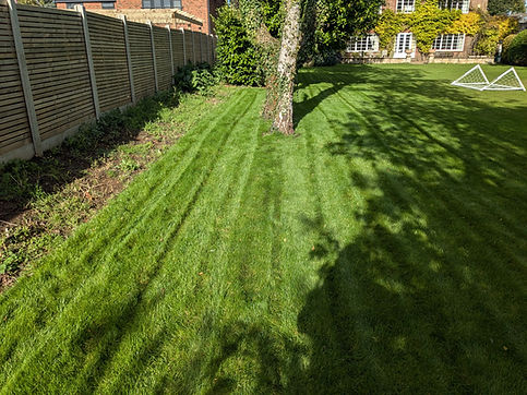 Turf Laying Lawn Care and Maintenance Grantham