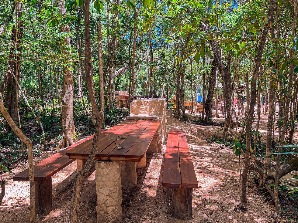 Miniature : GREEN DREAM