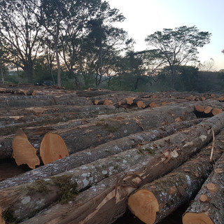 Cypress Bp Acacia S A