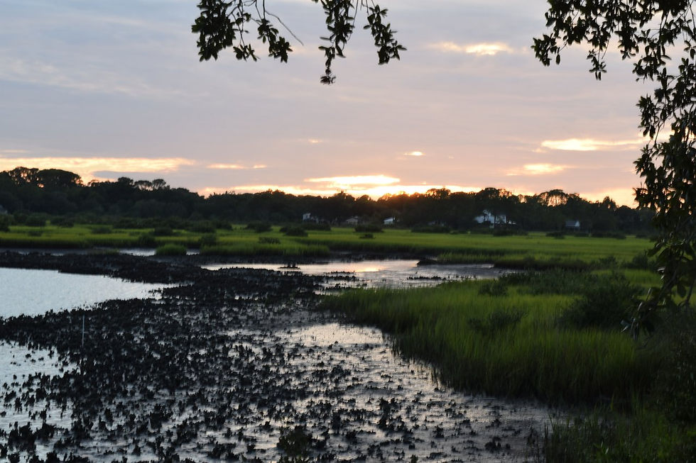 Low Tide