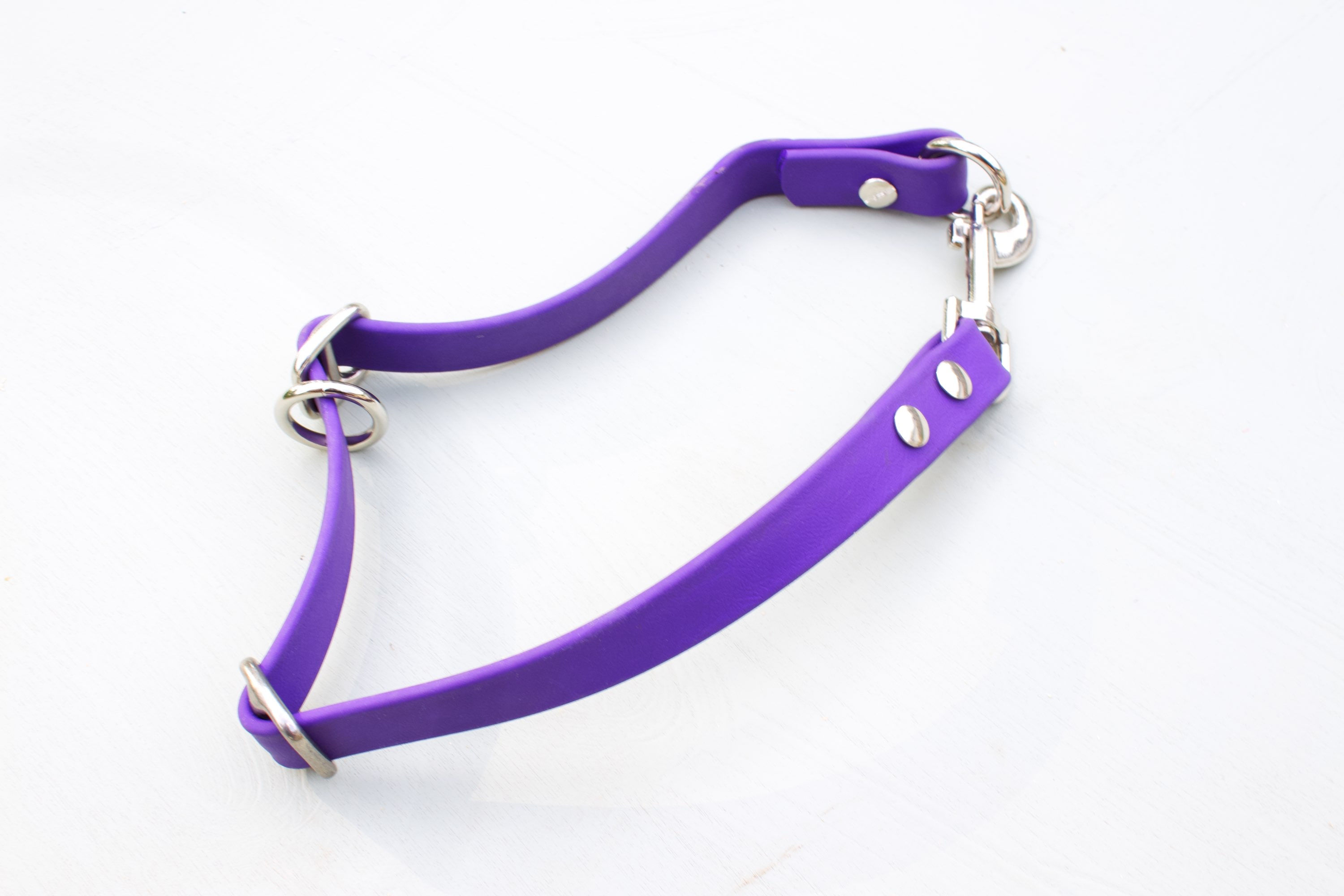 Martingale/ Slip Collar