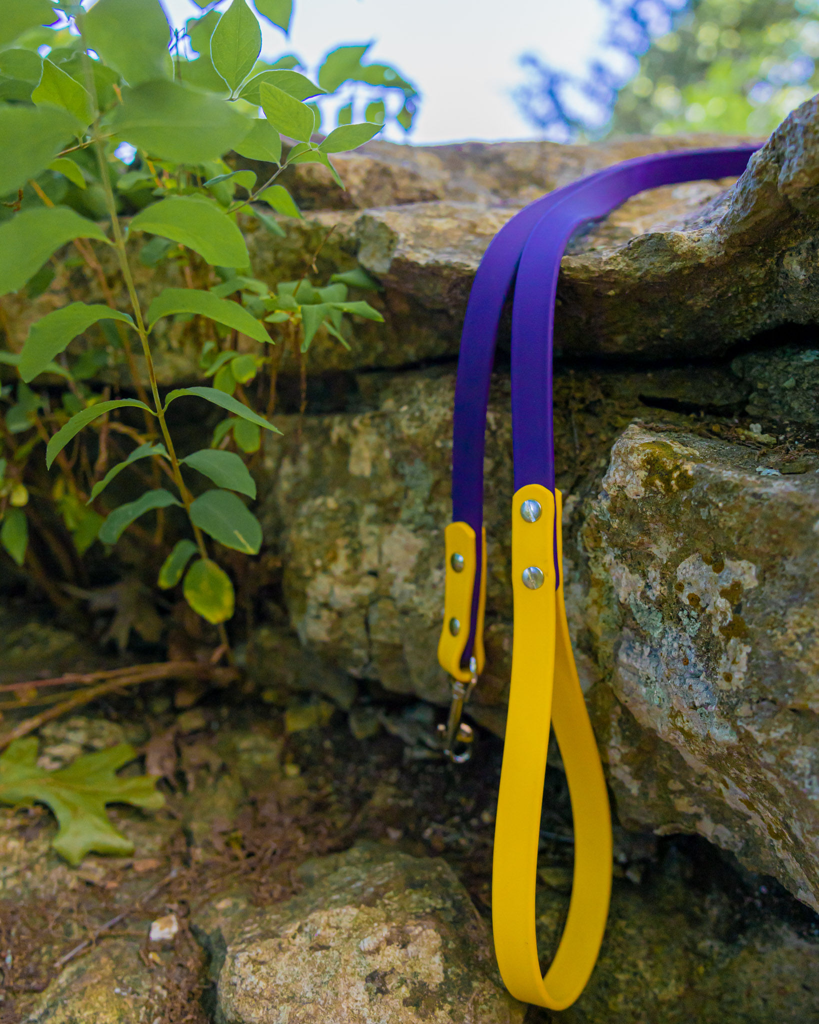 Two-Tone Leash- You Pick the Size!