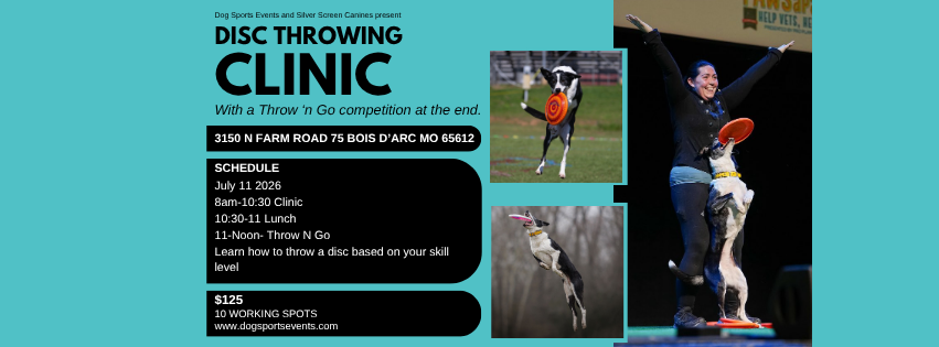 Disc Throwing Clinic
