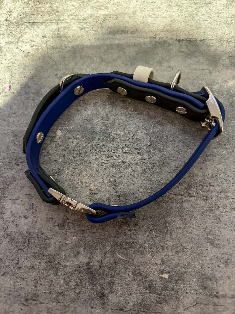 Thumbnail: Buckle Collar with Quick Release