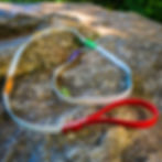 Thumbnail: Clip Adjustable Leash