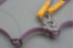 Thumbnail: 5-Way Adjustable Handsfree Leash
