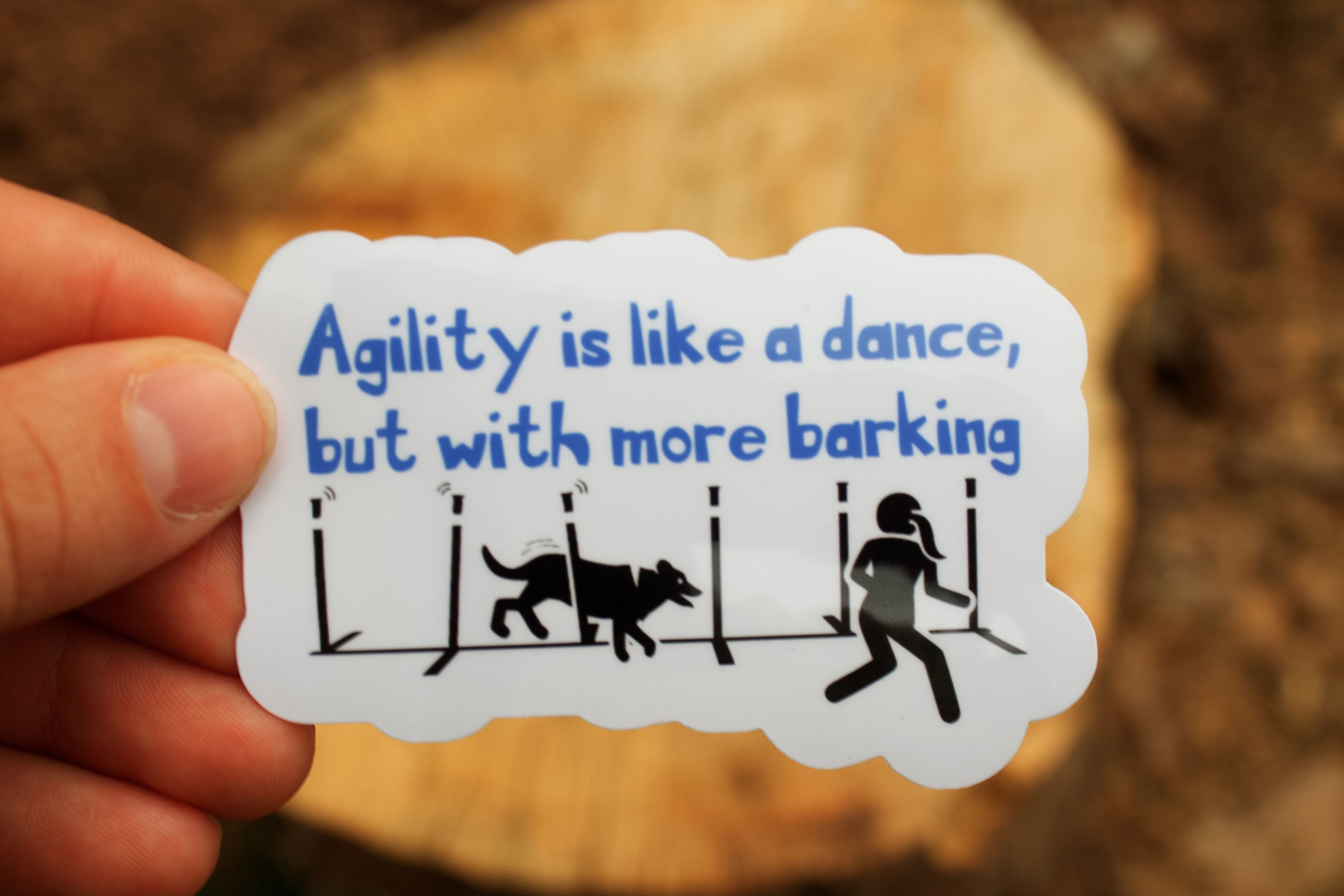Agility is Like a Dance With More Barking