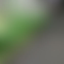 随分、ご無沙汰してしまいました。