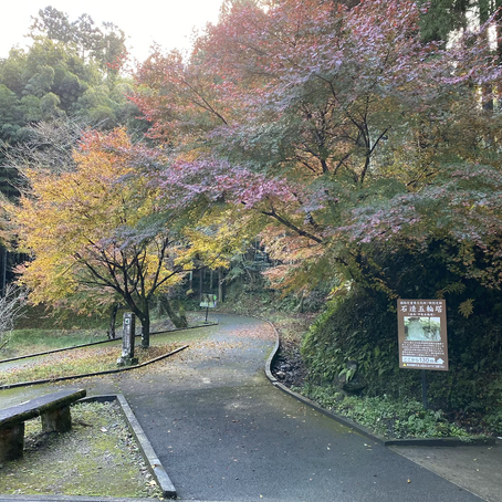 冬