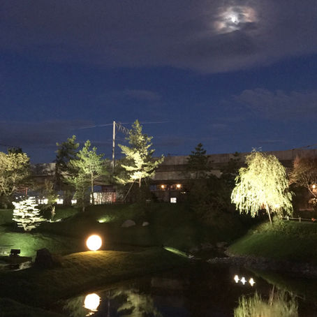 最近は、朝晩少し過ごしやすくなりましたね。