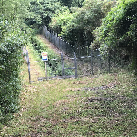 明治大分水路