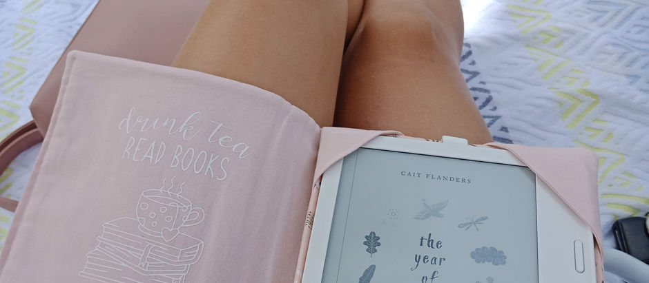 E-reader cover!