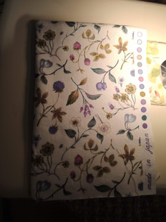 Front pocket (RS out)