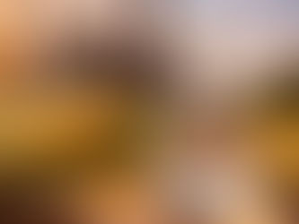 O Milho Assumindo o Protagonismo na Nova Geração de Etanol Brasileiro
