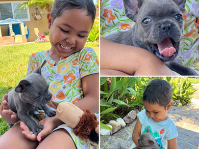 'Puppy Theraphy' - CD 418d EOT