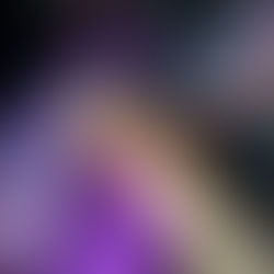 Phase 2 - Consolidation