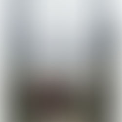 Too Bella! Week 5 - DI