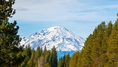 Mount Shasta