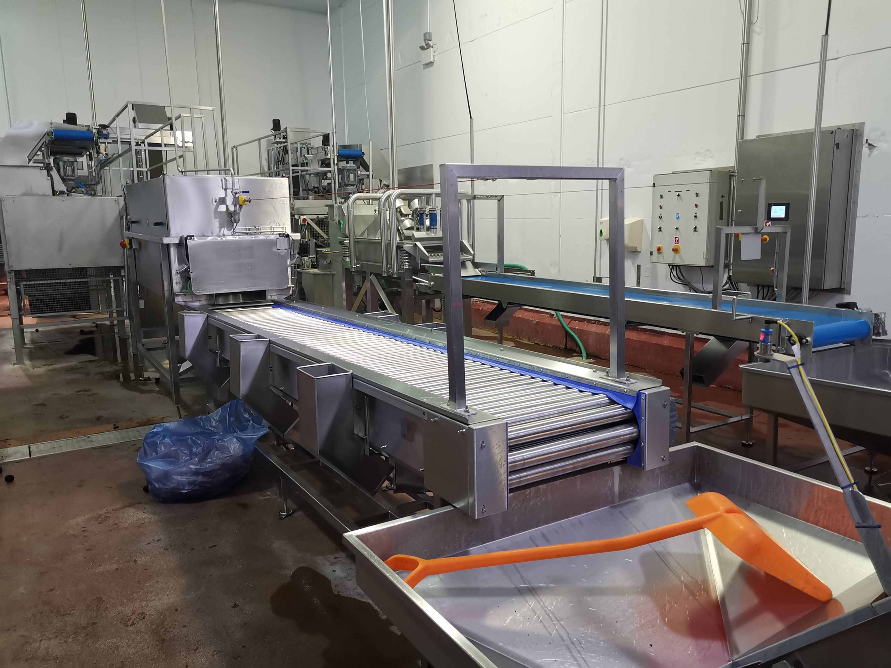 Roller Inspection Convceyor