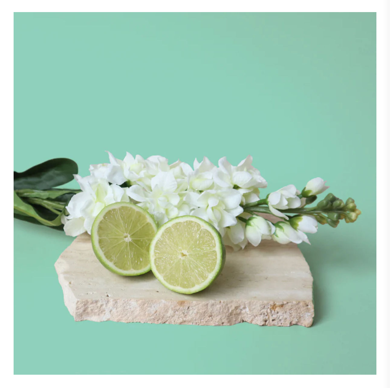 BERGAMOT & WHITE PATCHOULI SOY CANLDE 400g