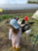 IMG_9053.jpeg