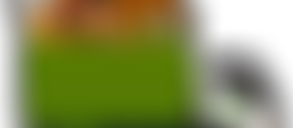 Got Junk? Manhattan Movers Remove Old Furniture & Appliances