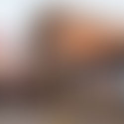 Moving Labor Help in Tyler, TX - 2 Movers 2 Hours for $135