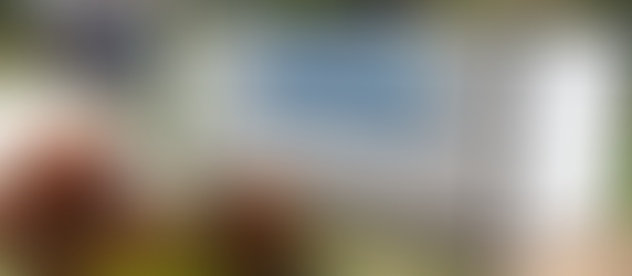 🚚 Moving Helpers, Meet Your New Ally: 1-800-Pack-Rat