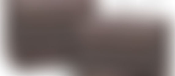 Moving Blankets - Trending Deal!